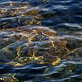 Pacific Calm
