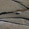 Rock Abstraction 3